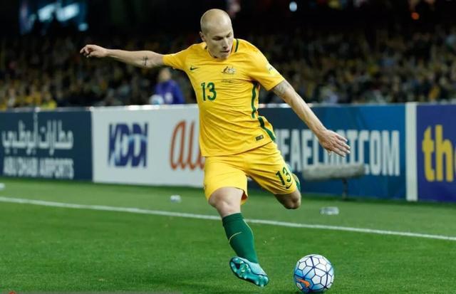 瘦死的骆驼真的比马大,瘦死的骆驼比马强