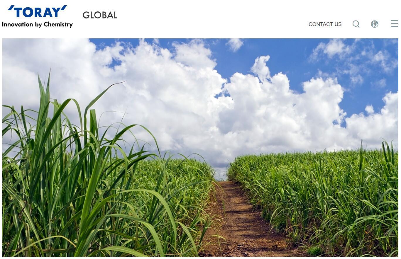 用甘蔗和玉米替代石油，日本东丽首创100%基于植物原料的聚酯纤维