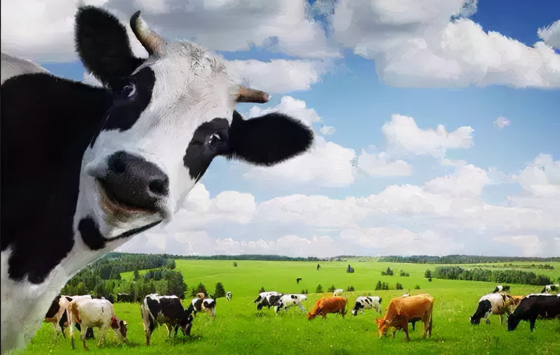 给宝宝换一款奶粉推荐一下,给宝宝换奶粉哪种牌子好