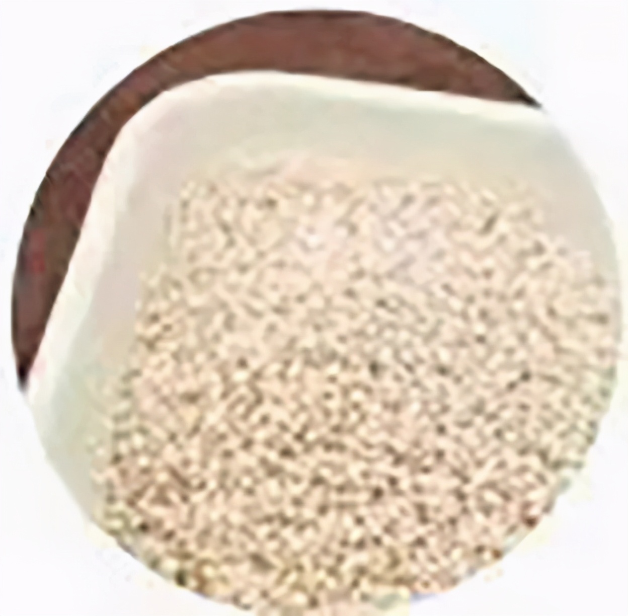 “大米熟了”，不是锅里煮的，而是阳台上栽的，一起来采摘吧