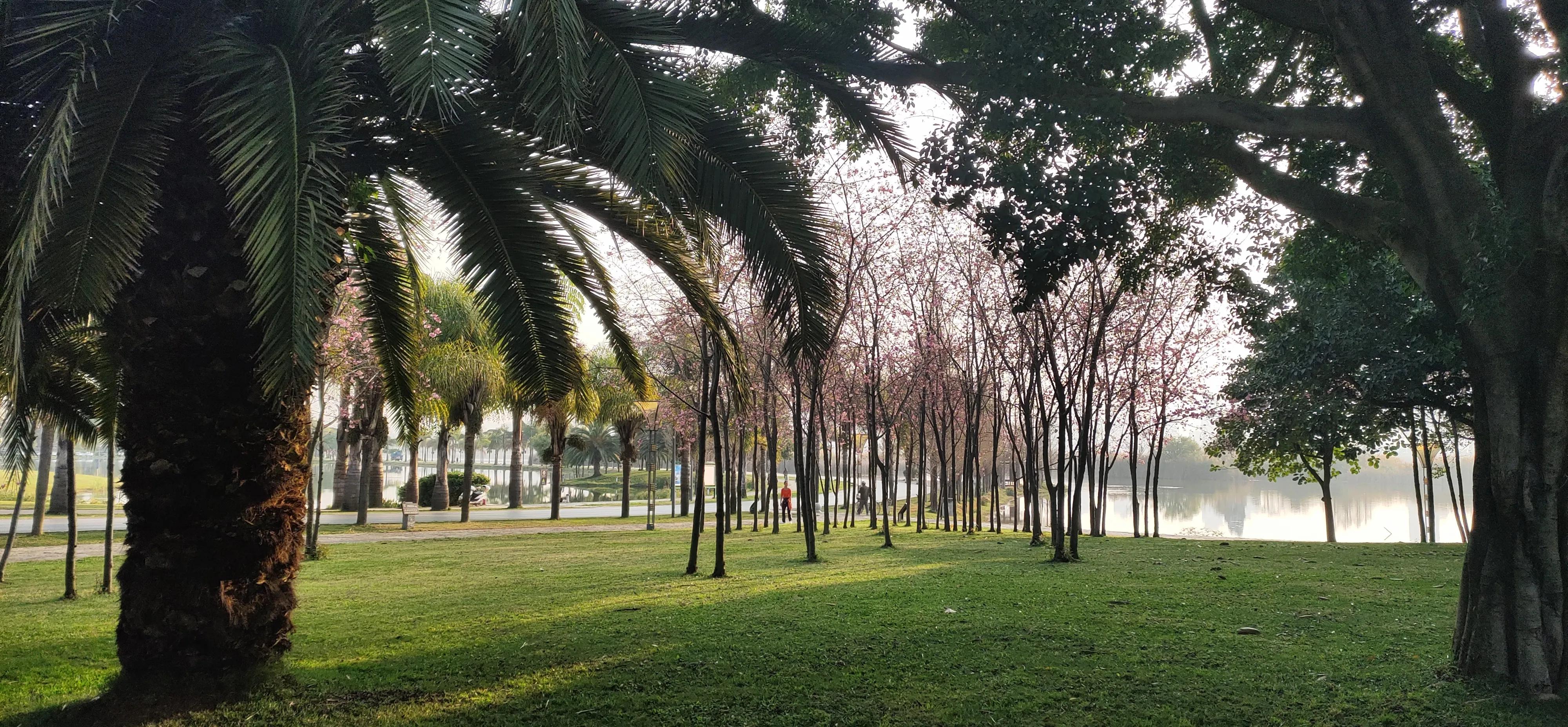 弥勒就业前景怎么样,弥勒适合宜居养老