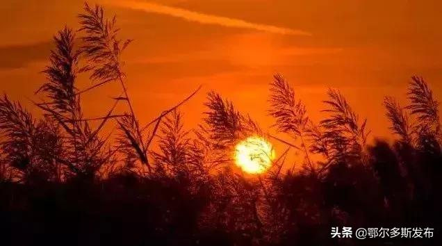 中国可以夜晚看星星的沙漠,迪拜沙漠与大海交汇的奇观
