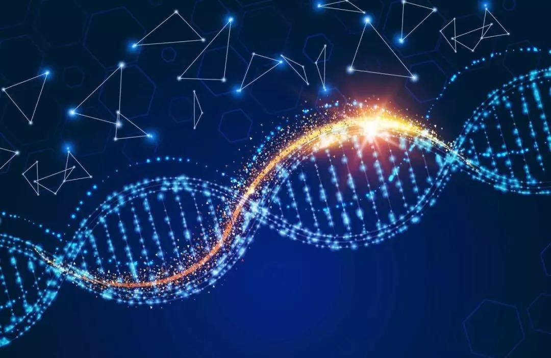 特发性肺纤维化，一种炎症因子导致的疾病，目前有两种药可治疗