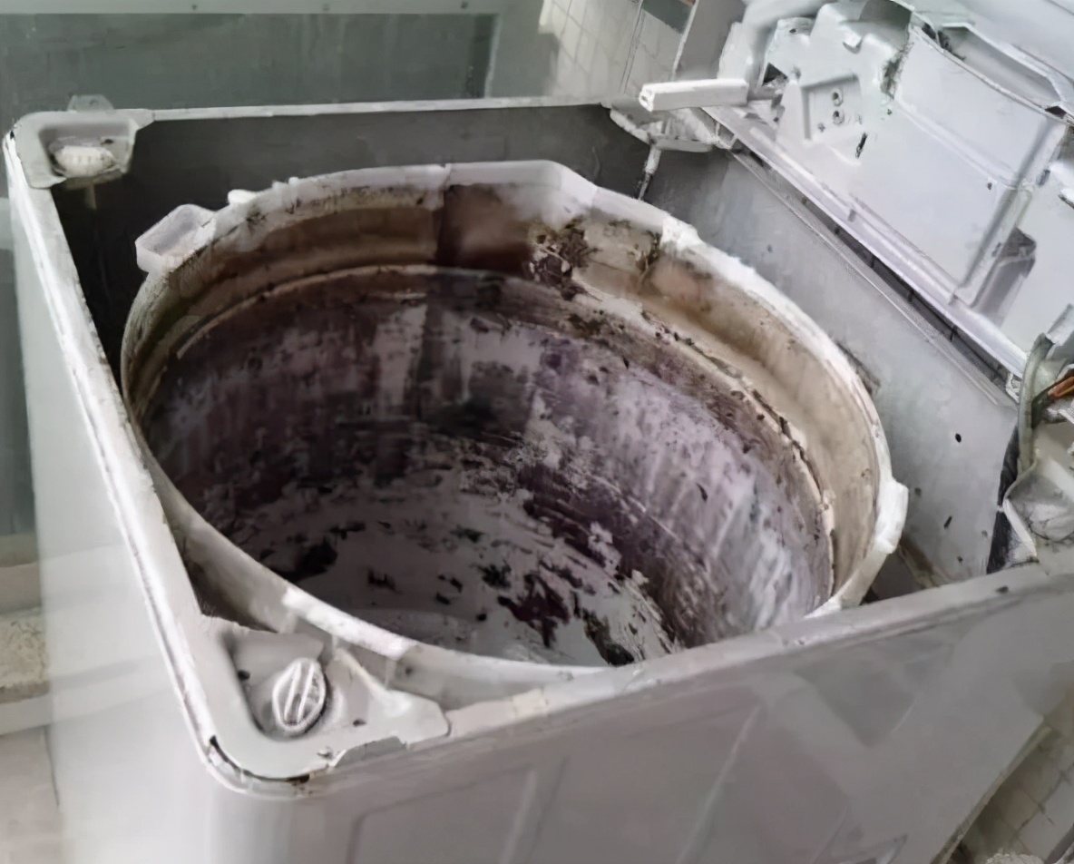 洗衣机上霉菌怎么处理,洗衣机长霉