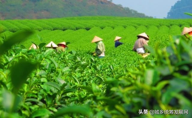 鐧句簨鍙箰璺ㄧ晫鍚堜綔,鐧句簨鍙箰甯傚満鎬荤洃