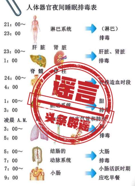 肝不好只吃护肝片行不,肝不好应该少吃高蛋白食物吗
