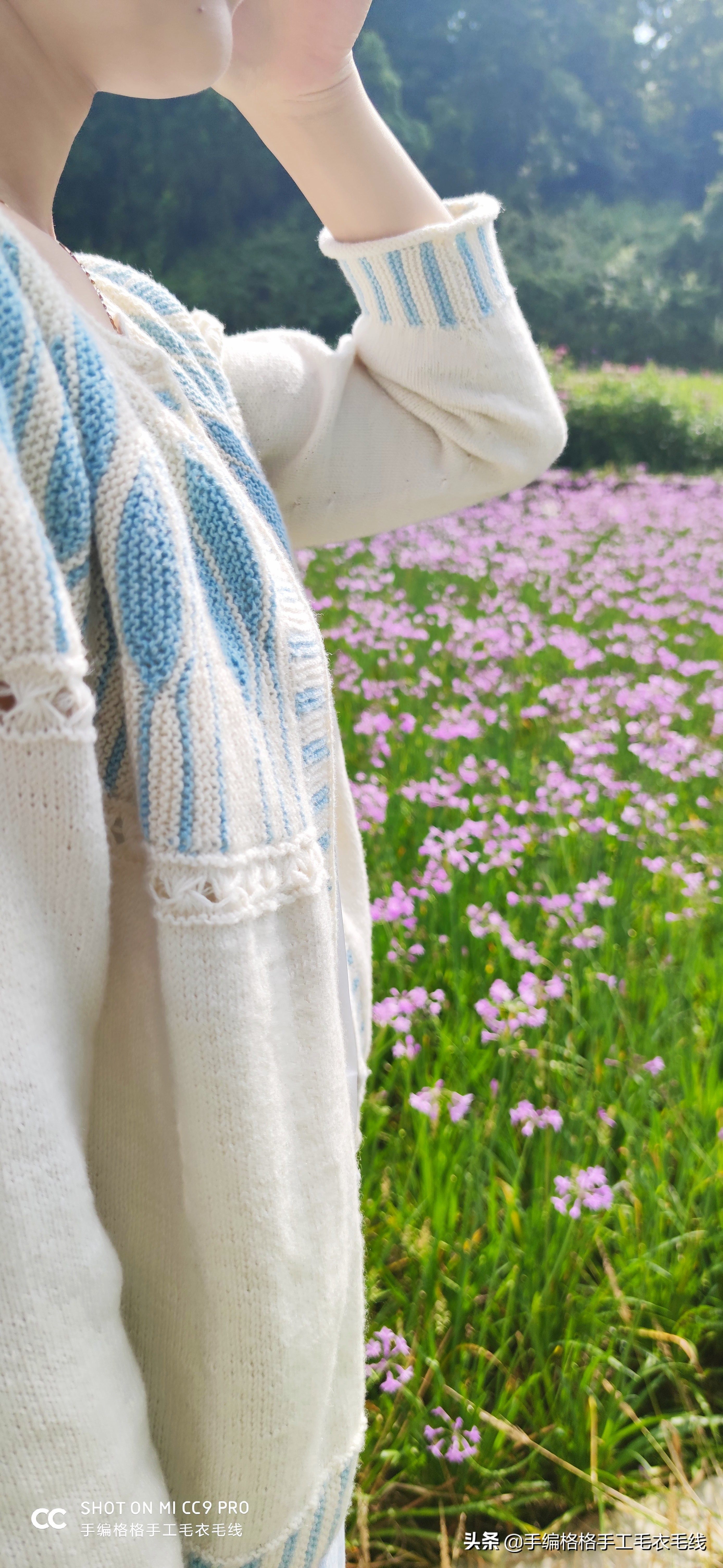澳洲郁金香花语,郁金香花语教程全集