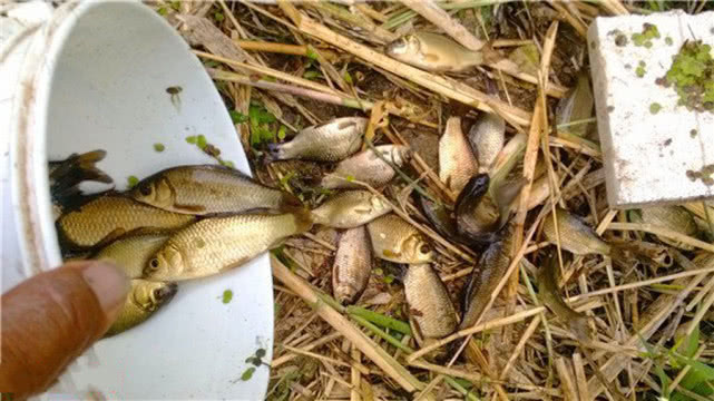 钓鱼人钓的是什么,钓鱼人就是这样收获满满