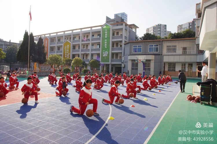 推动评估工作走深走实,教育督导促提升砥砺前行谱新篇