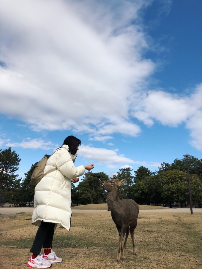 大阪环球影城一天半攻略,东京大阪京旅游攻略