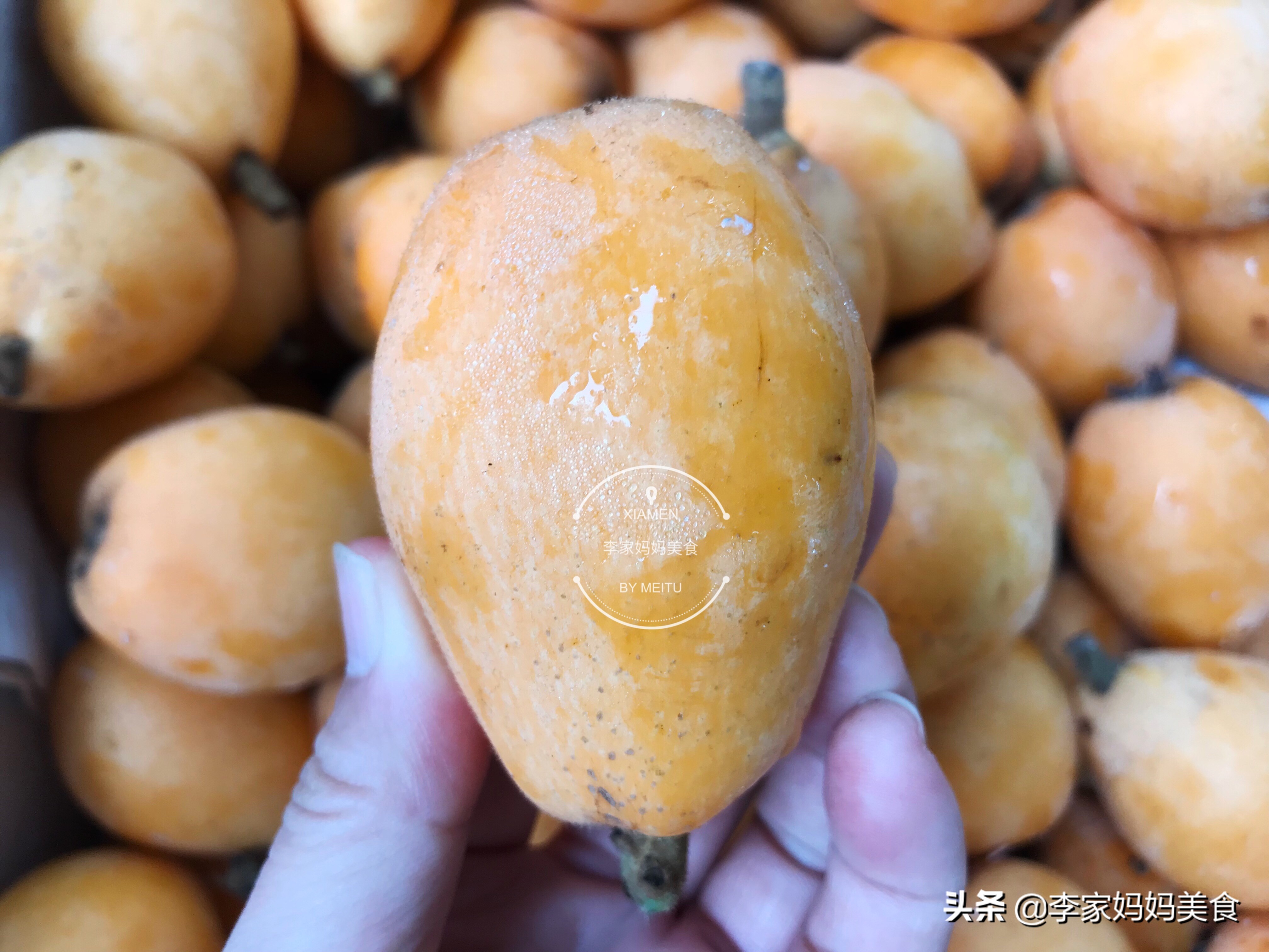 24节气小满吃什么水果食物,小满后吃什么水果最好