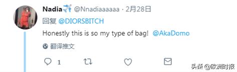 巴黎时装周蛇皮袋包,巴黎时装周显眼包