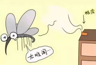 医专一附院感染性疾病科的张国范主任受邀做客《天天健康》栏目