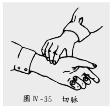 诊脉怎么学,脉诊入门基础知识教程