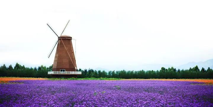 玉环哪里适合过生日,台州哪里过生日