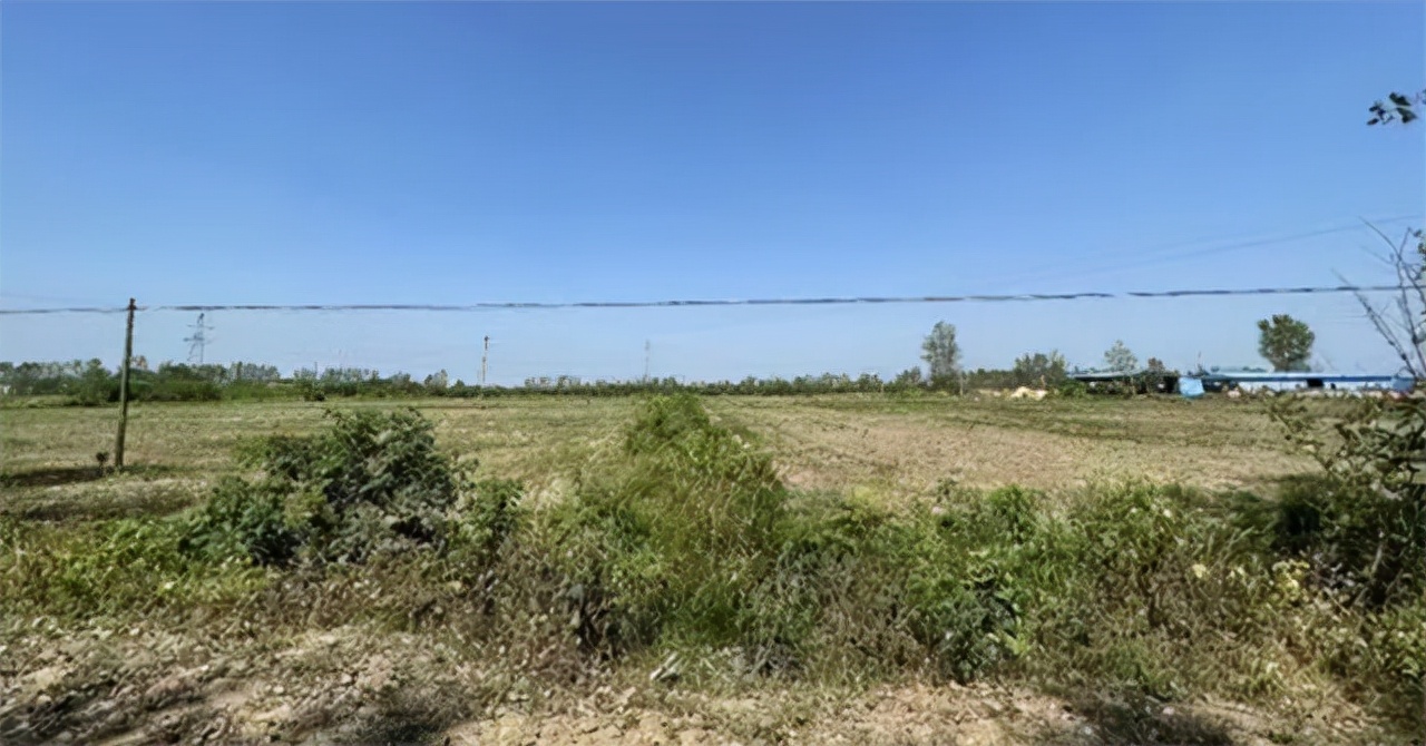 一头死猪牵出24具女尸案完整,一头死猪牵扯出24条命案