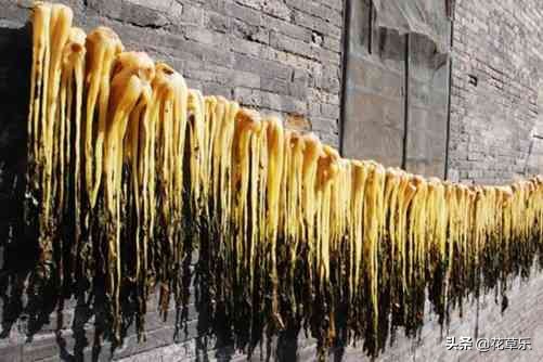 雪菜的腌制方法简单,雪菜自然酸怎么腌