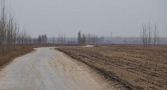 俗语说房前屋后栽啥树好,俗语想致富先修路原话怎么说