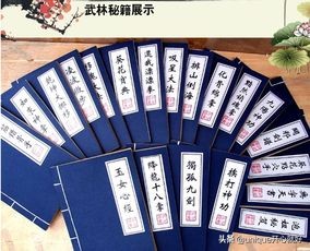 穿越到各种武侠世界,穿越金庸武侠世界学什么武功