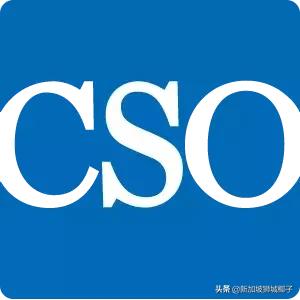 高薪!一部中国热播偶像剧,让新加坡这个专业彻底火了