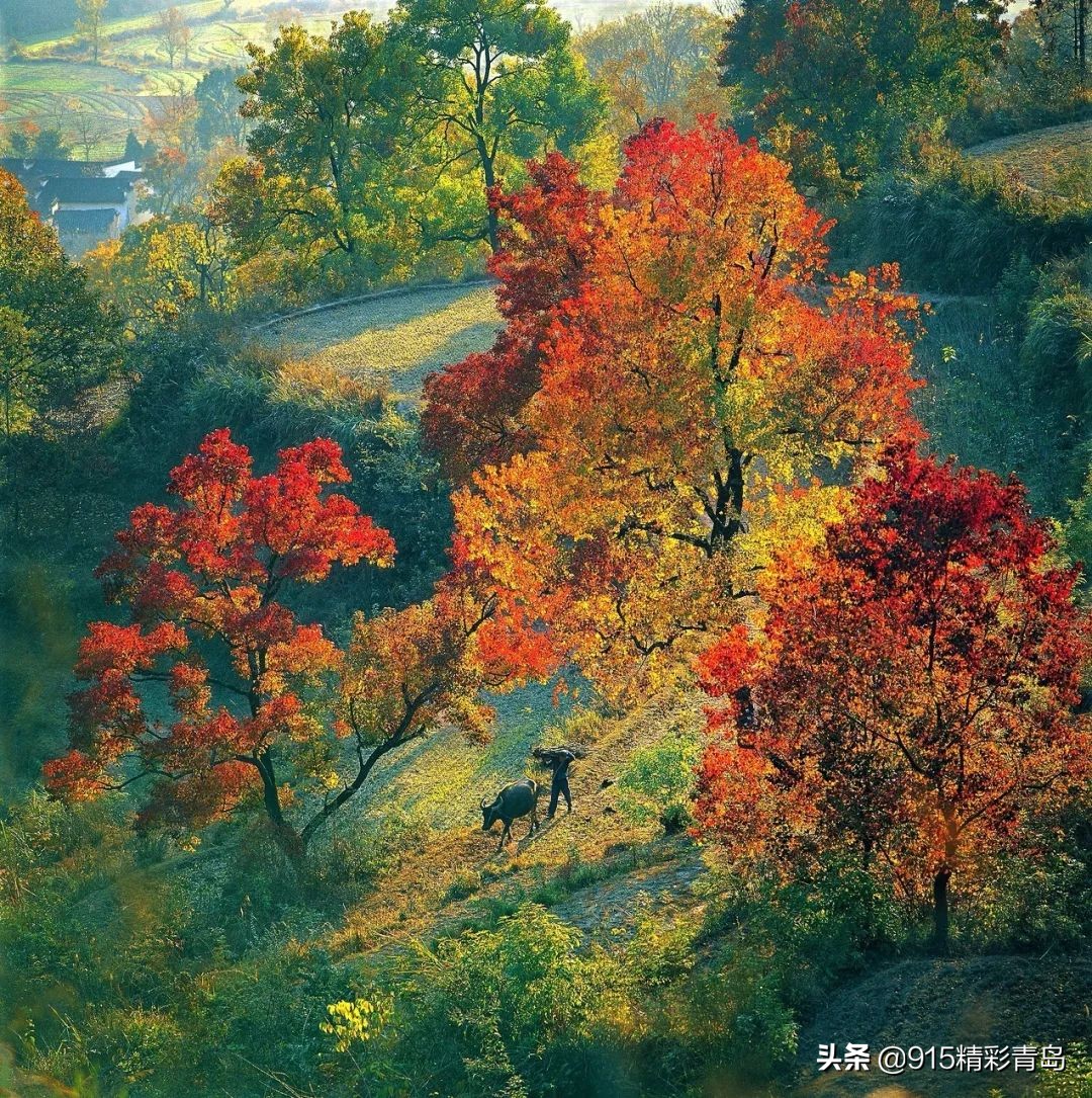 安徽很低调的一个省,安徽被严重低估的景点