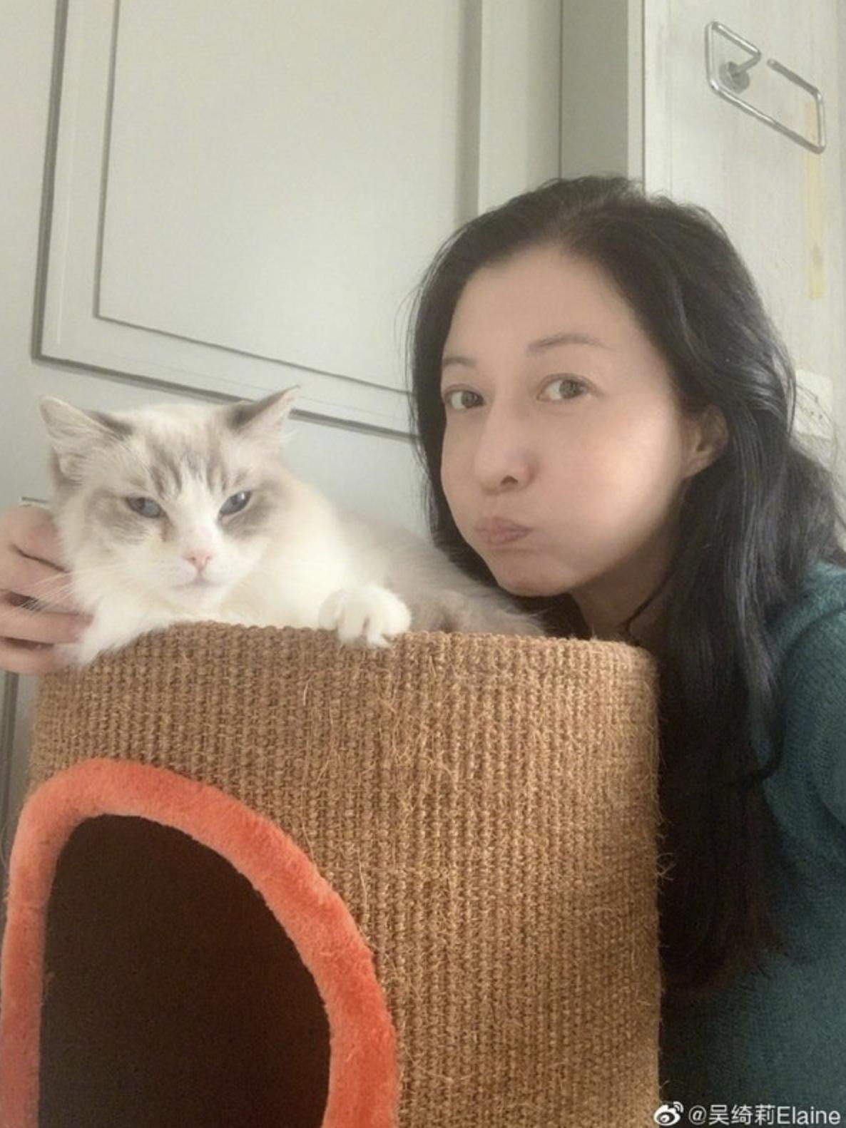 吴卓林吴绮莉现在的关系,吴绮莉曝女儿吴卓林最新状况