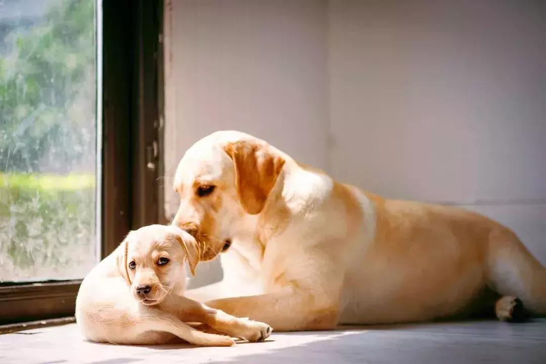 美炸了！天津又一家打卡圣地！自选风格+服装任选+底片全送...