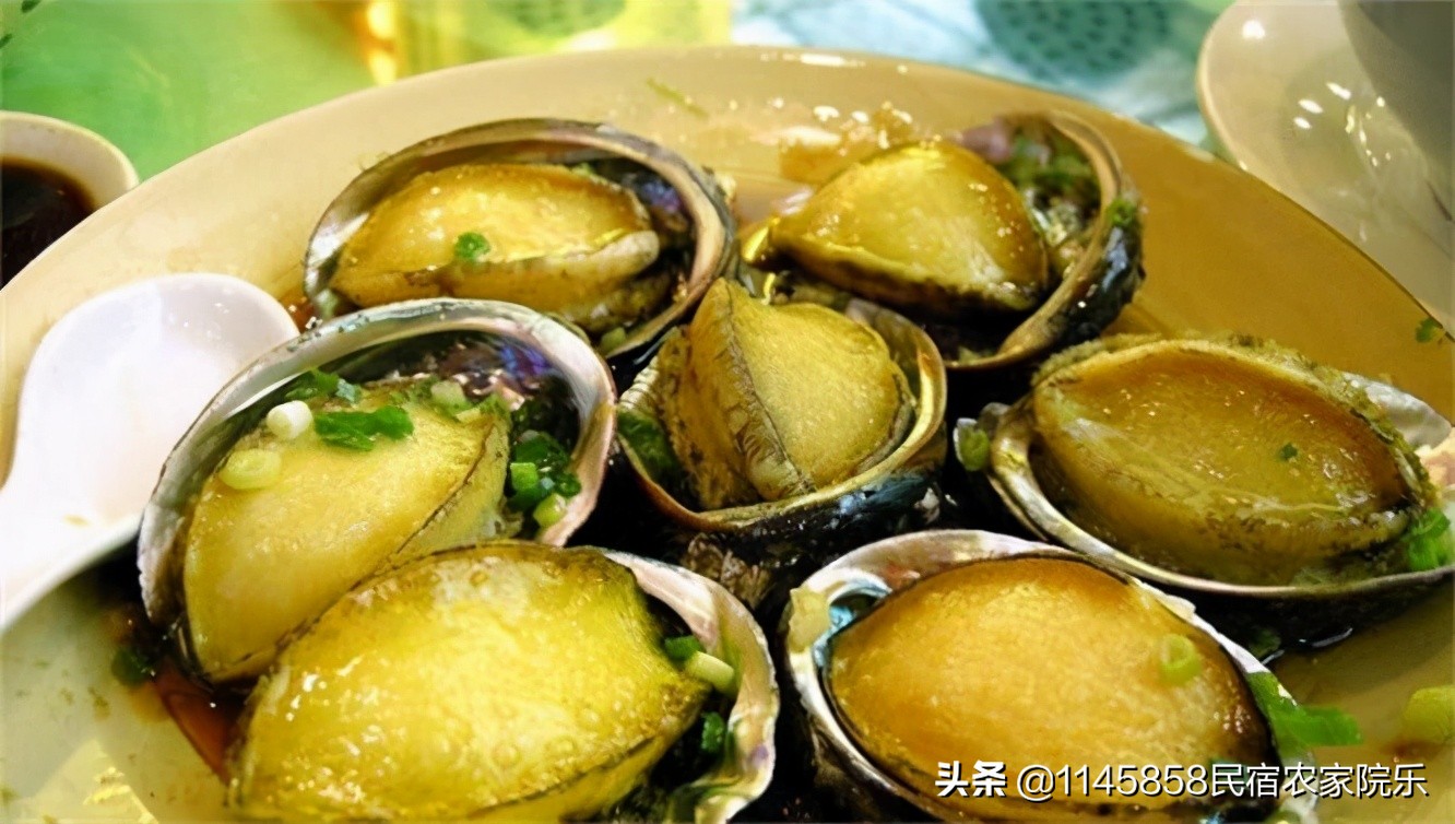 长岛老林渔家,山东长岛渔家乐