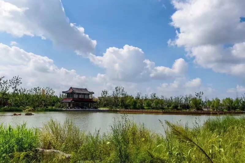 2021年济南人口还会增长吗,济南未来的潜力到底有多大