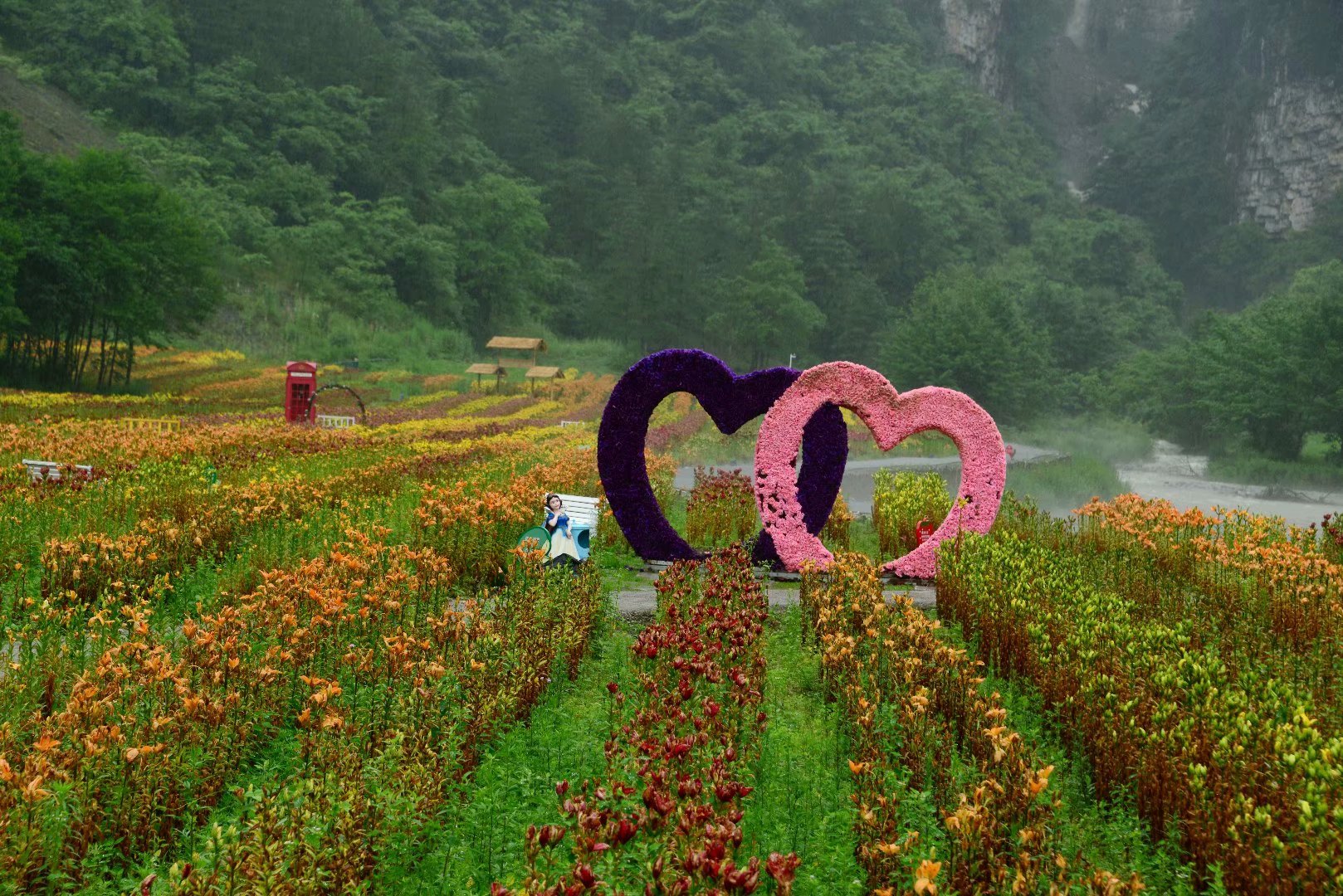 六月回忆儿时校园,六月回忆童年