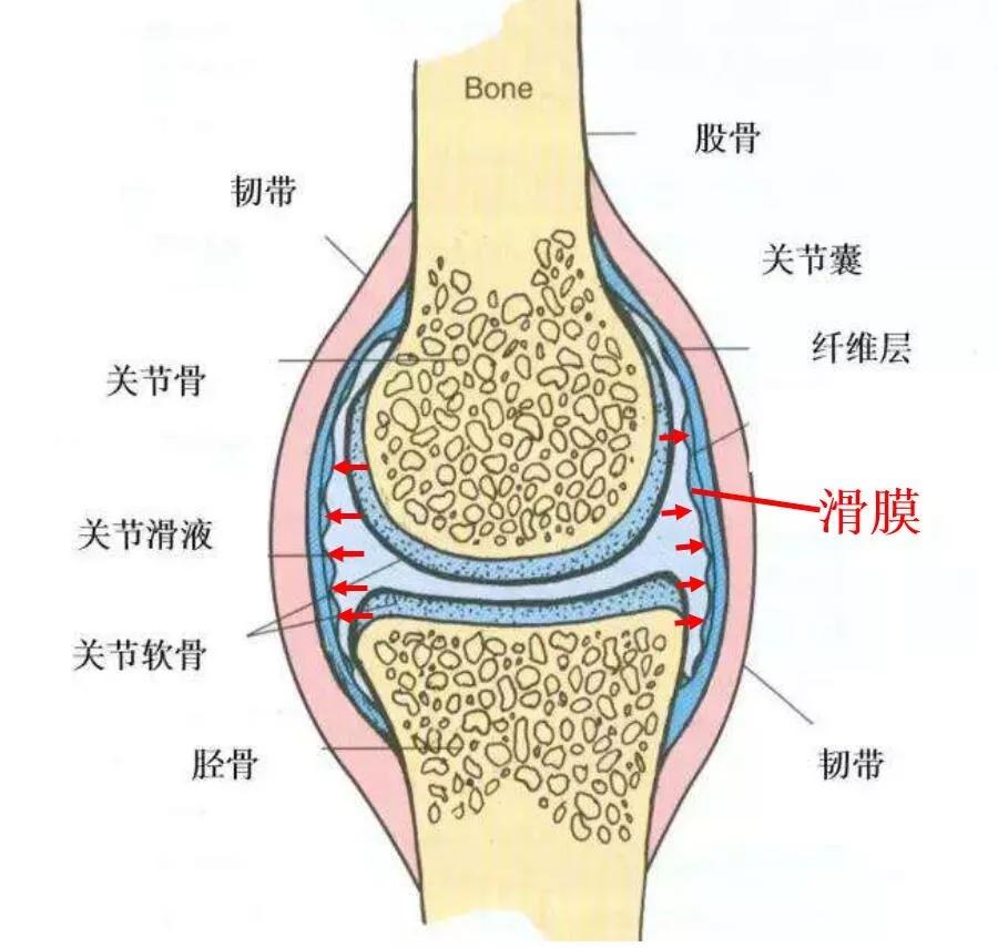 跑步后腿疼治疗办法有哪些,跑步腿疼脚疼怎么回事