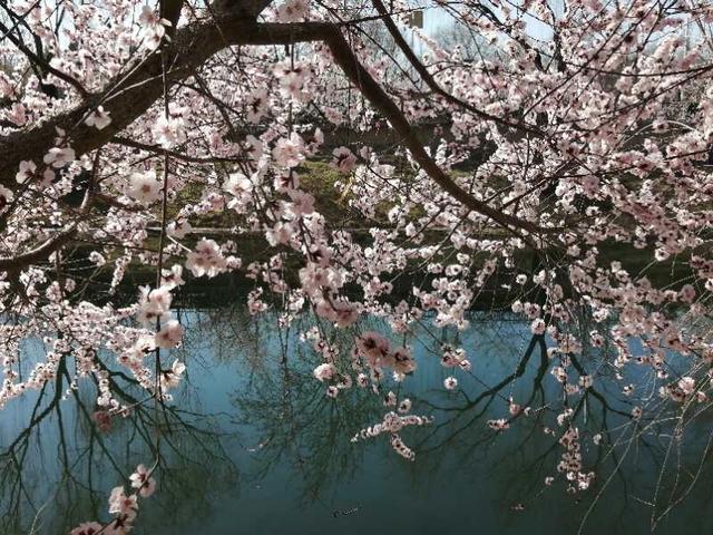 手拍世界手机摄影平台,手拍世界摄影平台