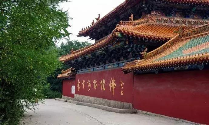 大同浑源凉粉,大同非遗文化浑源凉粉