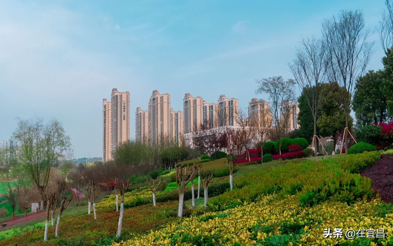 牛！这样的伍家岗，你怎能不爱