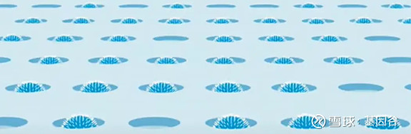 全场硬菜！分子诊断技术全解析