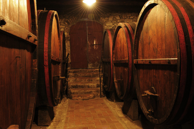 乡村那些年，我曾养过两只刺猬，却接连神秘消失……