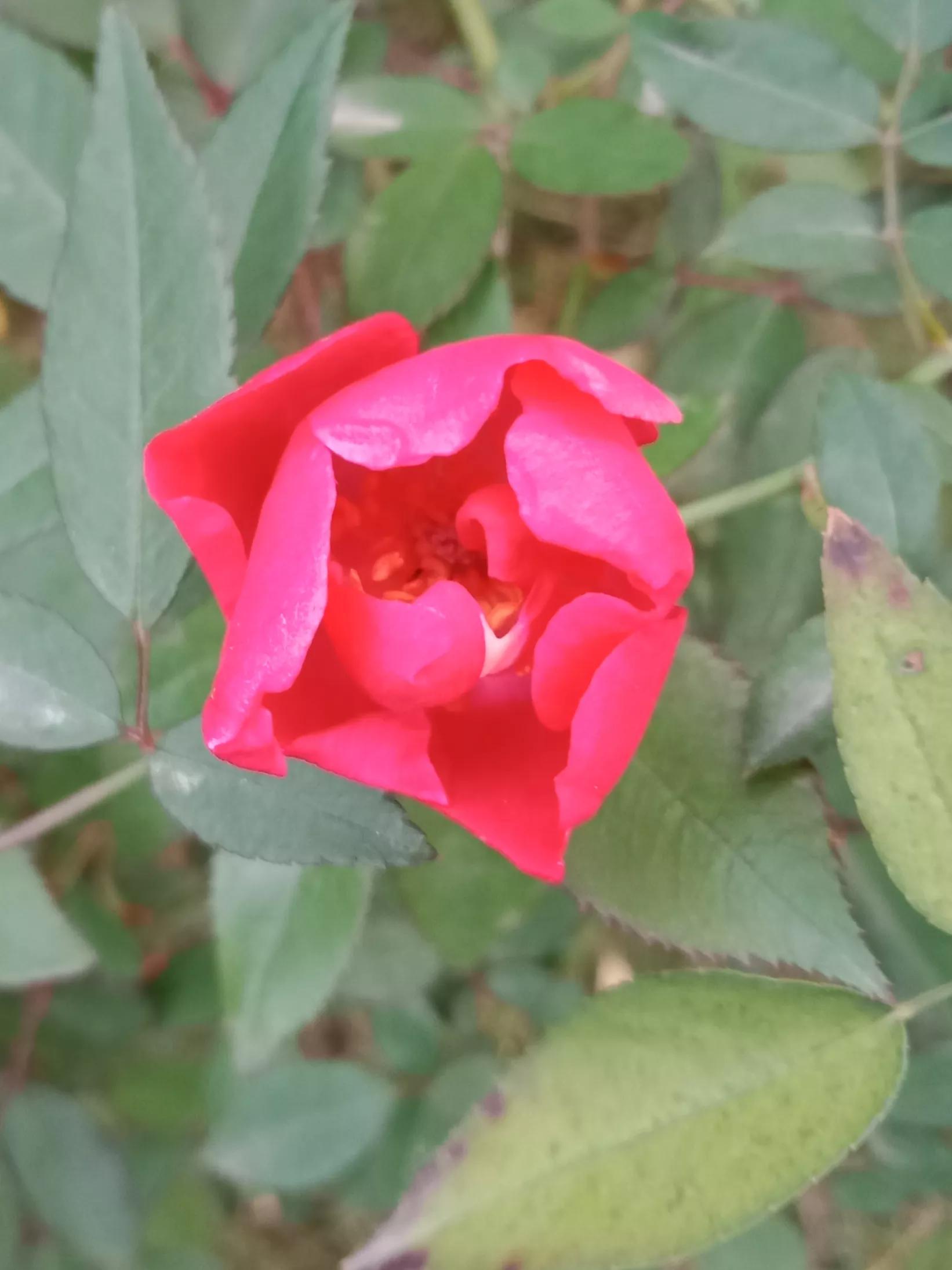 人睡着后不盖被子会着凉吗,人睡觉时为什么要枕枕头