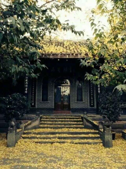 石室中学有什么好的,石室中学的缺点