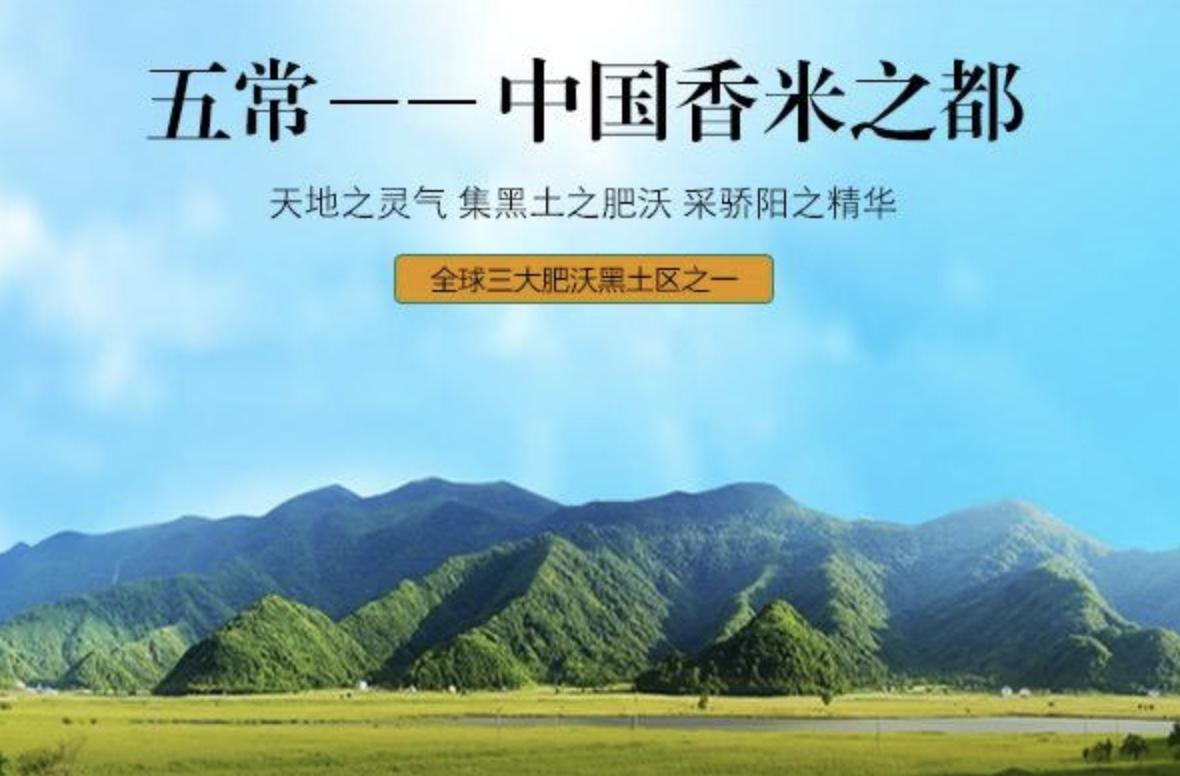 怎么看一个品牌的销量和评价,根据过去的成功案例吸取经验