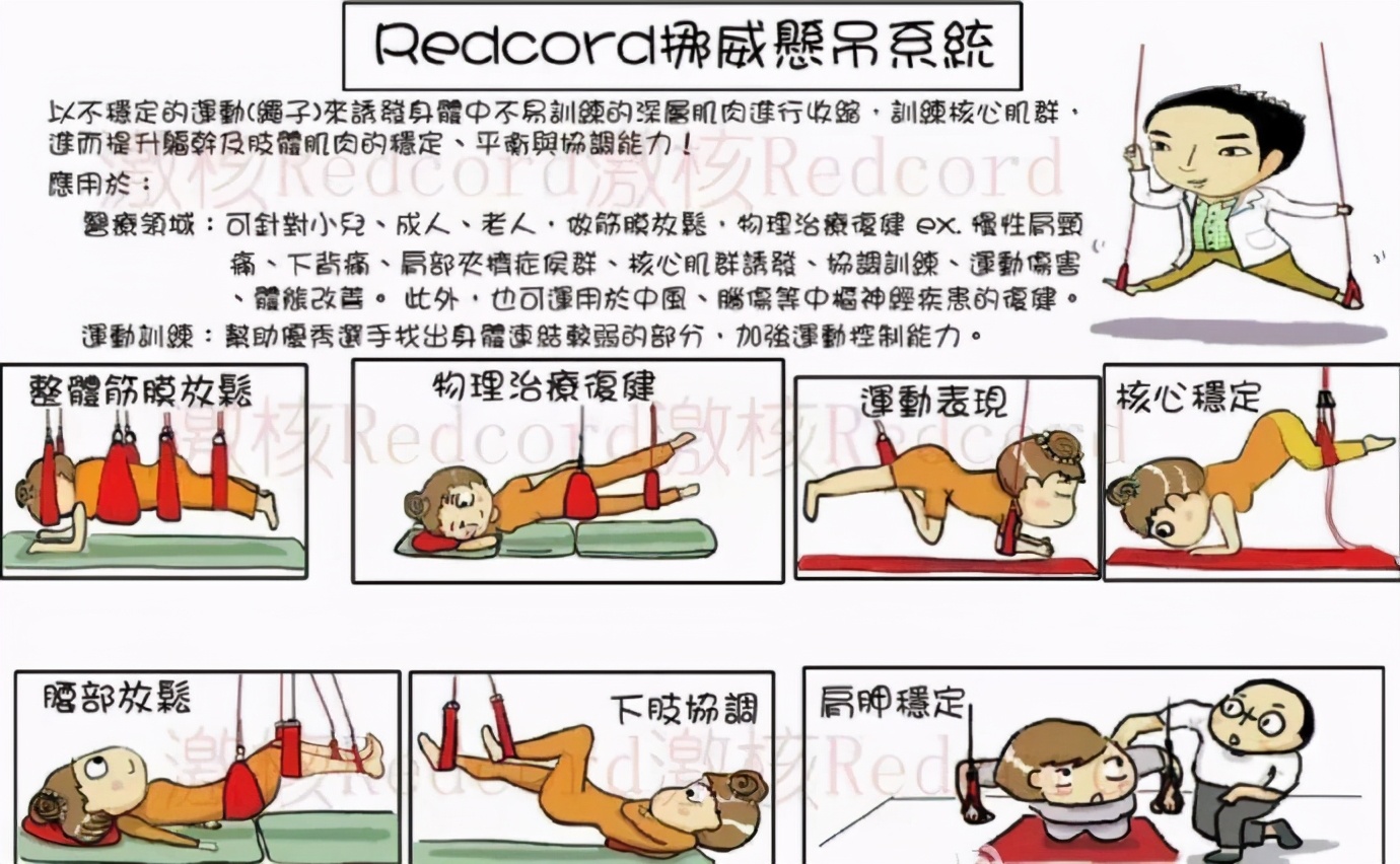 不能飞去巴黎伦敦,不如到大连喂鸽子,赏海景吃海鲜