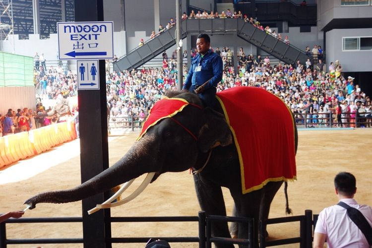 泰国十大私人园林,泰国游之旅