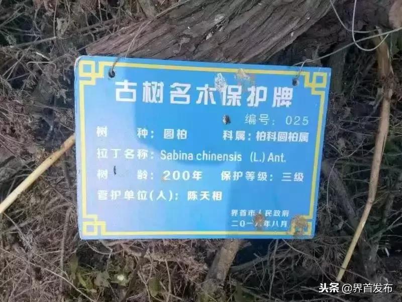 鐣岄鐑х焊绁,涓婂潫鐑х焊娉ㄦ剰妫灄闃茬伀