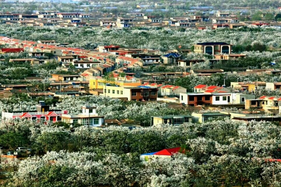 鼎尊国际什川颐养中心,甘肃什川鼎尊颐养中心