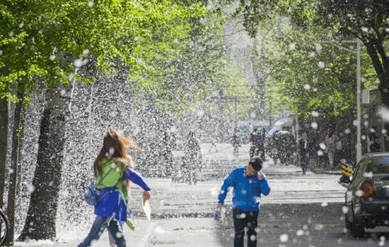 宝宝怎么预防柳絮,宝宝如何判断自己是否柳絮过敏