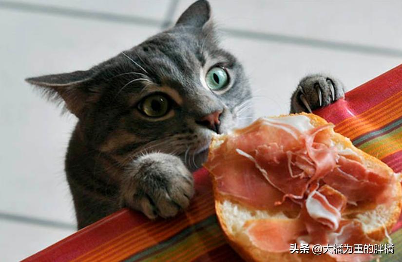 没到饭点就饿怎么回事,没到饭点肚子饿怎么办