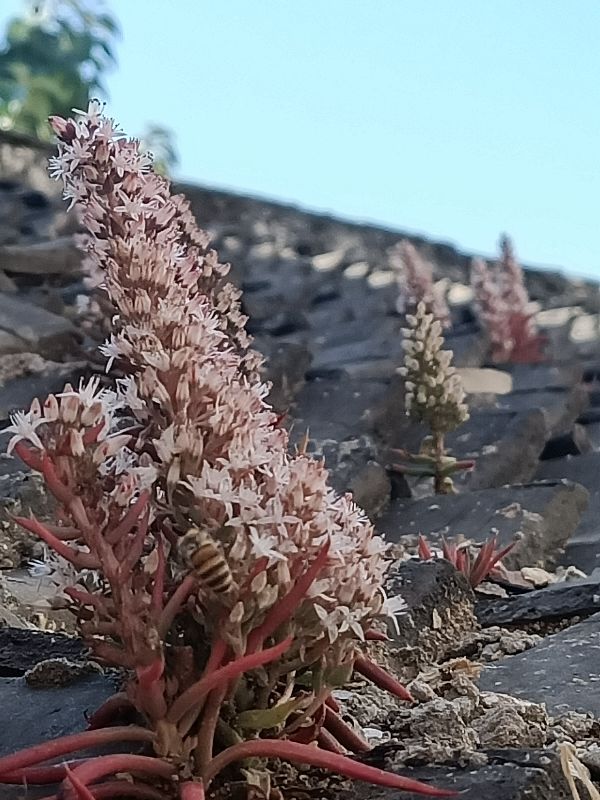 随笔惊艳风景,随笔美好的一瞬间