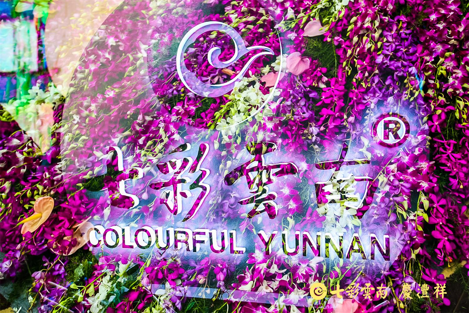 用古树普洱茶致敬美好生活，看吴晓波是如何解读“百山百味”的？