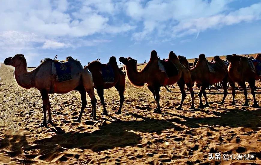 鄂尔多斯三大旅游胜地,鄂尔多斯城市漂亮吗