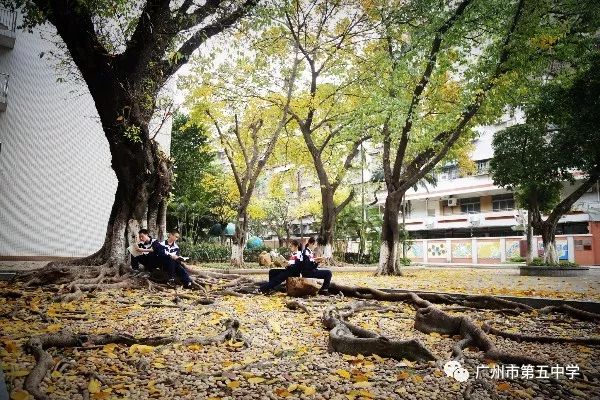 68岁的广州五中：豪华高配，人强马壮