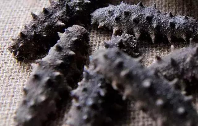 红海参比刺海参便宜,便宜海参叫什么参